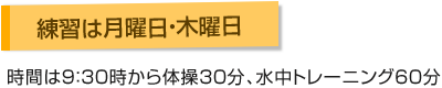 練習は水曜日・土曜日